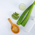 Inside Out Nutrition: Exploring the World of Nutraceuticals”