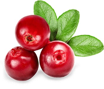 WhatsApp Image 2024-01-25 at 10.55.37_87e133bb