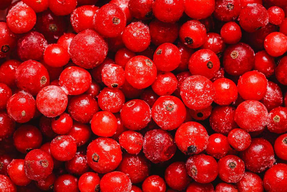 top-view-cranberries-arrangement